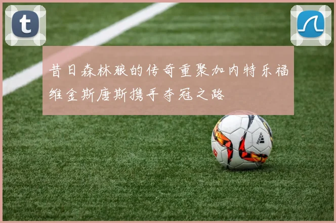 昔日森林狼的传奇重聚加内特乐福维金斯唐斯携手夺冠之路