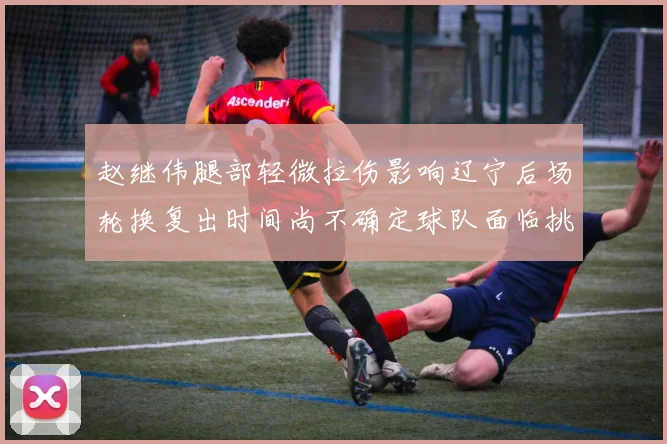 赵继伟腿部轻微拉伤影响辽宁后场轮换复出时间尚不确定球队面临挑战