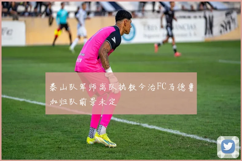 泰山队军师离队执教今治FC马德鲁加归队前景未定